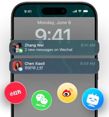 China Social Media Agency